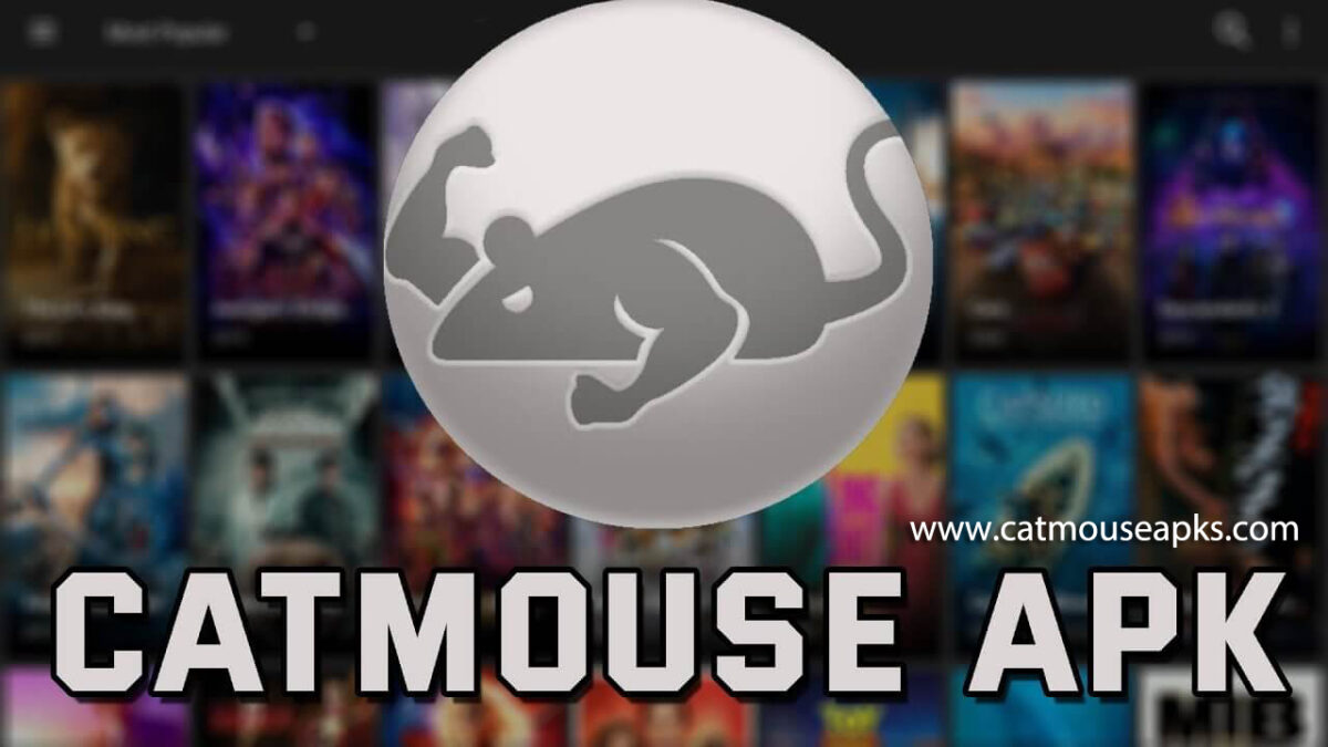 CatMouse Apk For All Movie and T Series Lovers