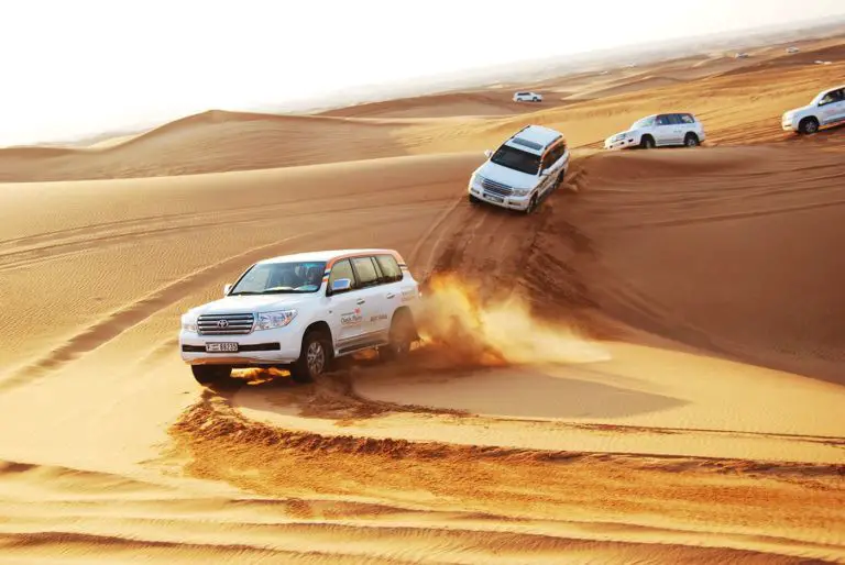 Observe The Excellence Of Desert Safari Dubai
