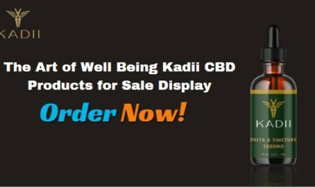 CBD Products for Sale
