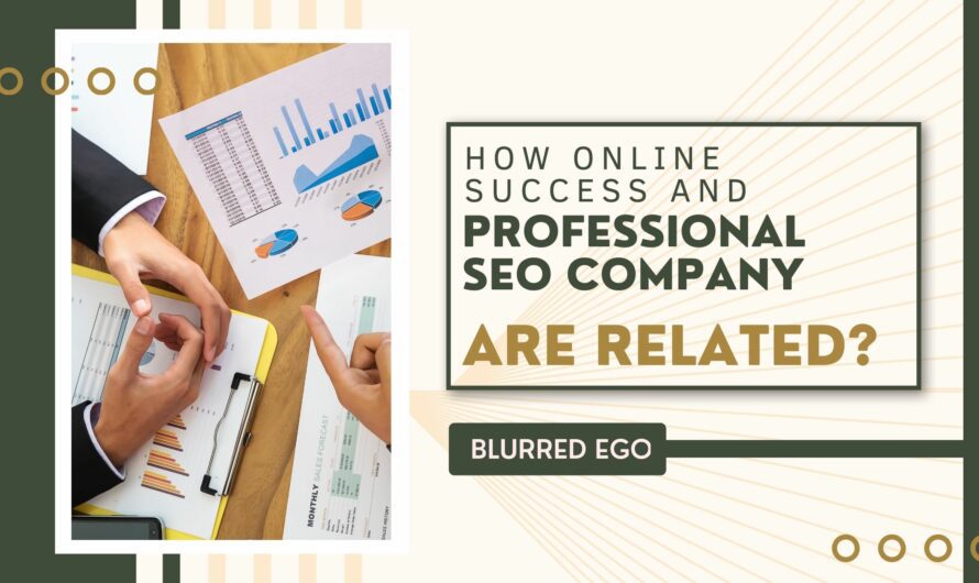 How Online Success and Professional SEO Company Are Related?