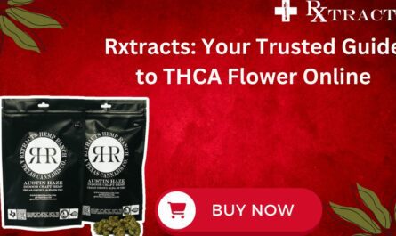 Rxtracts Your Trusted Guide to THCA Flower Online
