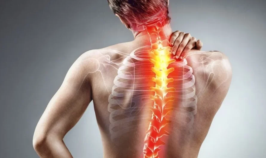 Excellent Advice for Coping With The Back Discomfort