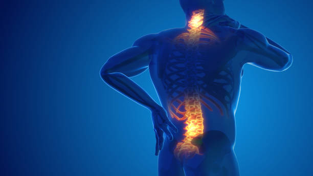 Tips To Make Life While Dealing With back pain Easier