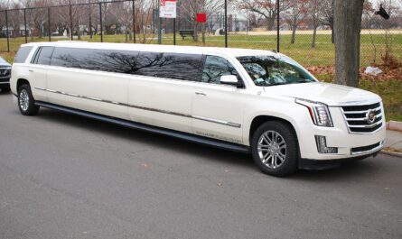 limo service in nyc