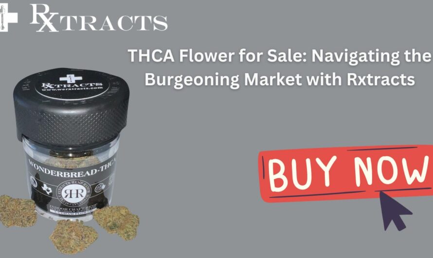 THCA Flower for Sale: Navigating the Burgeoning Market
