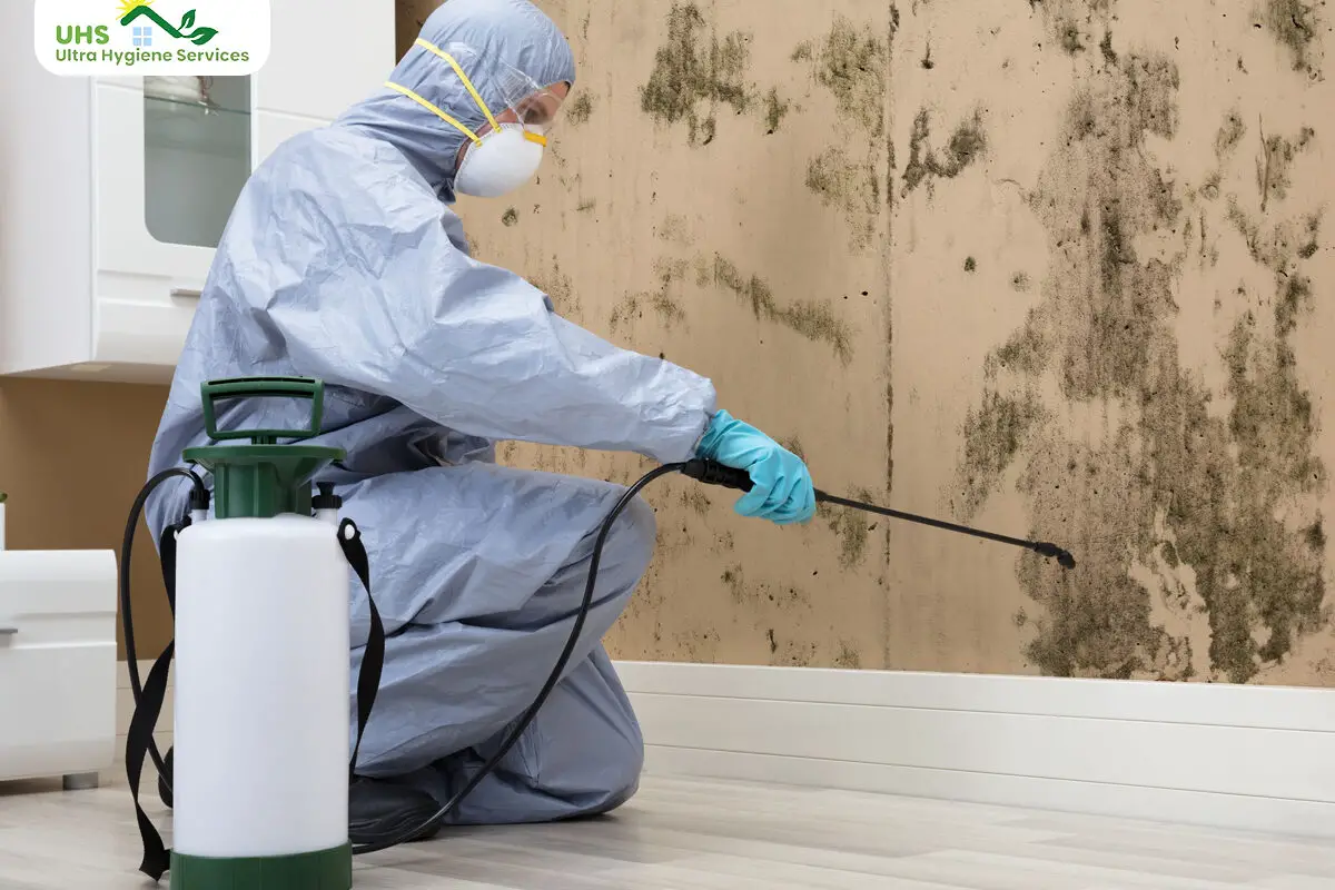 commercial mold remediation Miami 1