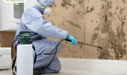 commercial mold remediation Miami 1