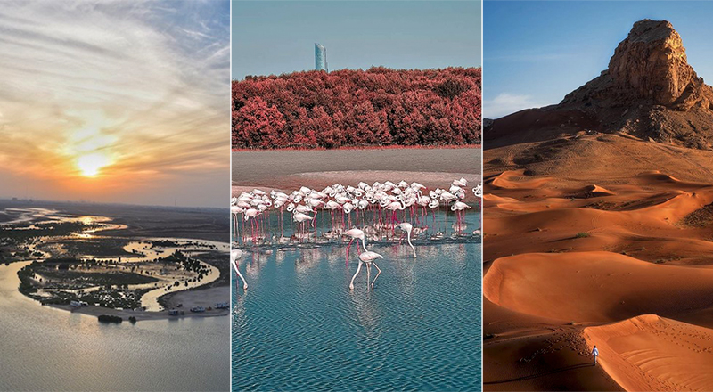 Foremost Natural Spots To Explore in Dubai This Year