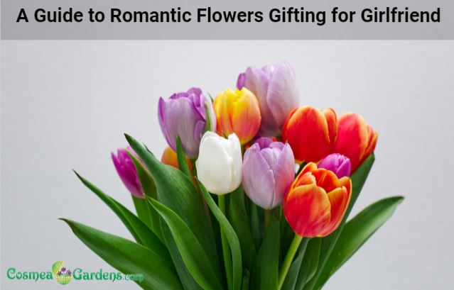 A Guide to Romantic Flowers Gifting for Girlfriend