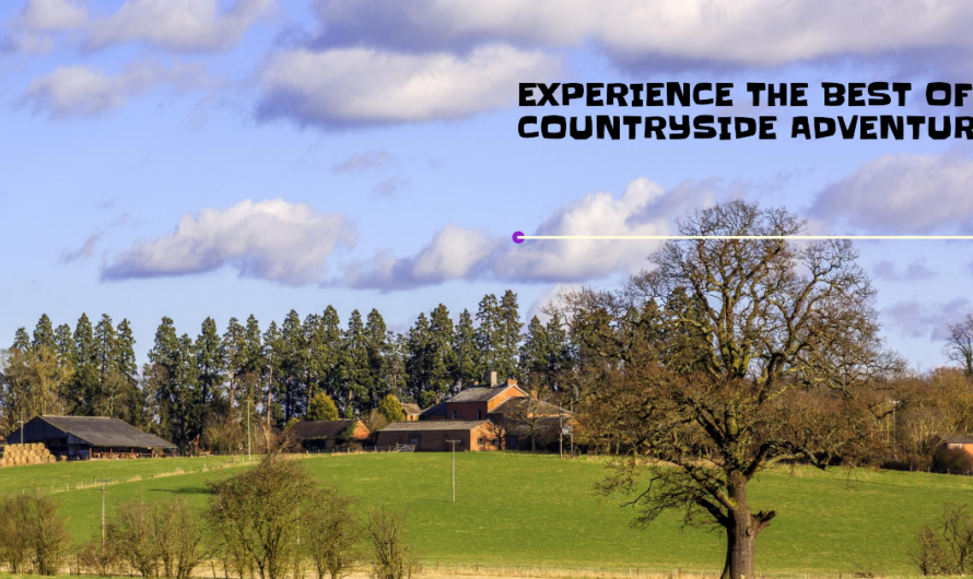 Top 5 Outdoor Activities You Can Enjoy at Countryside Lodges