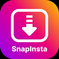 Can SnapInsta download photos, videos, reels and stories?