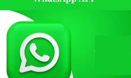 WhatsApp business API service provider in India