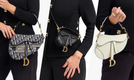 How to Choose the Perfect Dior Bag in 2024