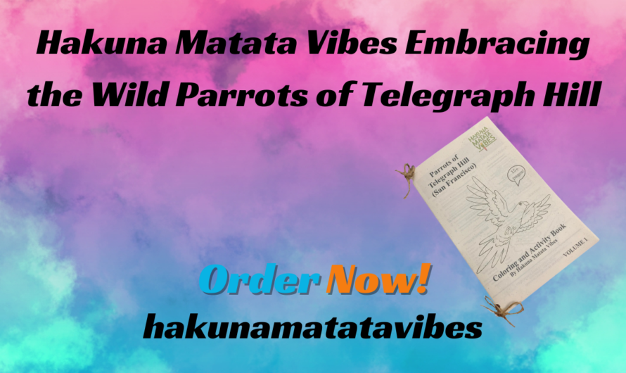 Hakuna Matata Vibes Embracing Wild Parrots of Telegraph Hill
