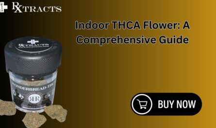 Indoor THCA Flower A Comprehensive Guide