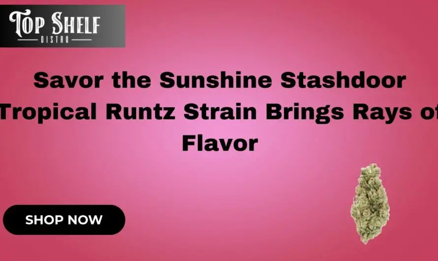Savor Sunshine Stashdoor Tropical Runtz Strain Brings Flavor