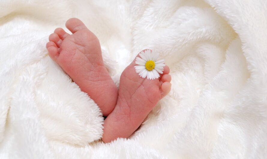 What Blanket Is Best for Newborns – Newborn Blanket Guide
